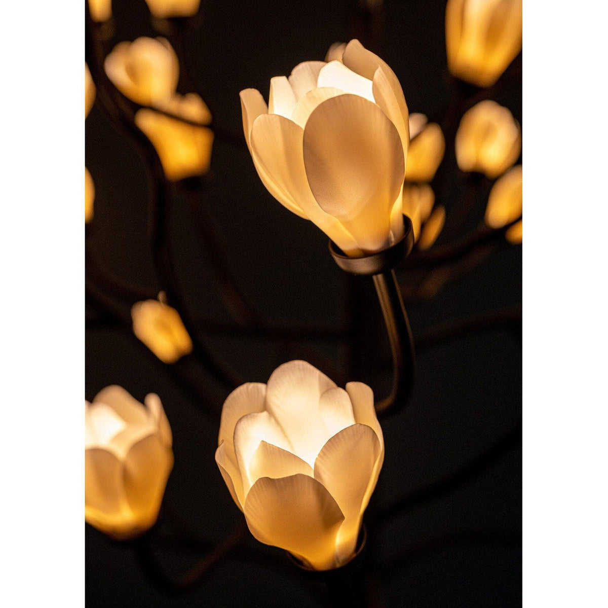 Mkuren Chandelier - view 5