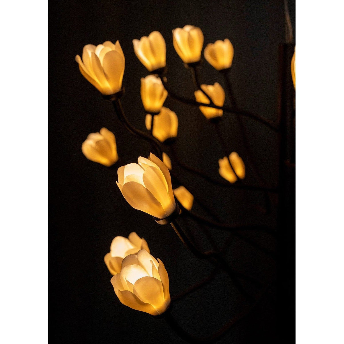 Mkuren Chandelier - view 6