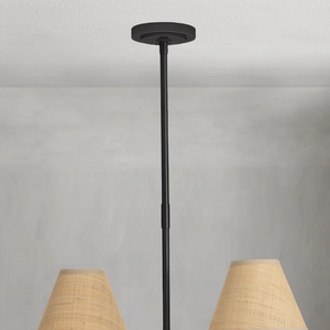 Polara Rattan Chandelier in Blackened Brass - view 4