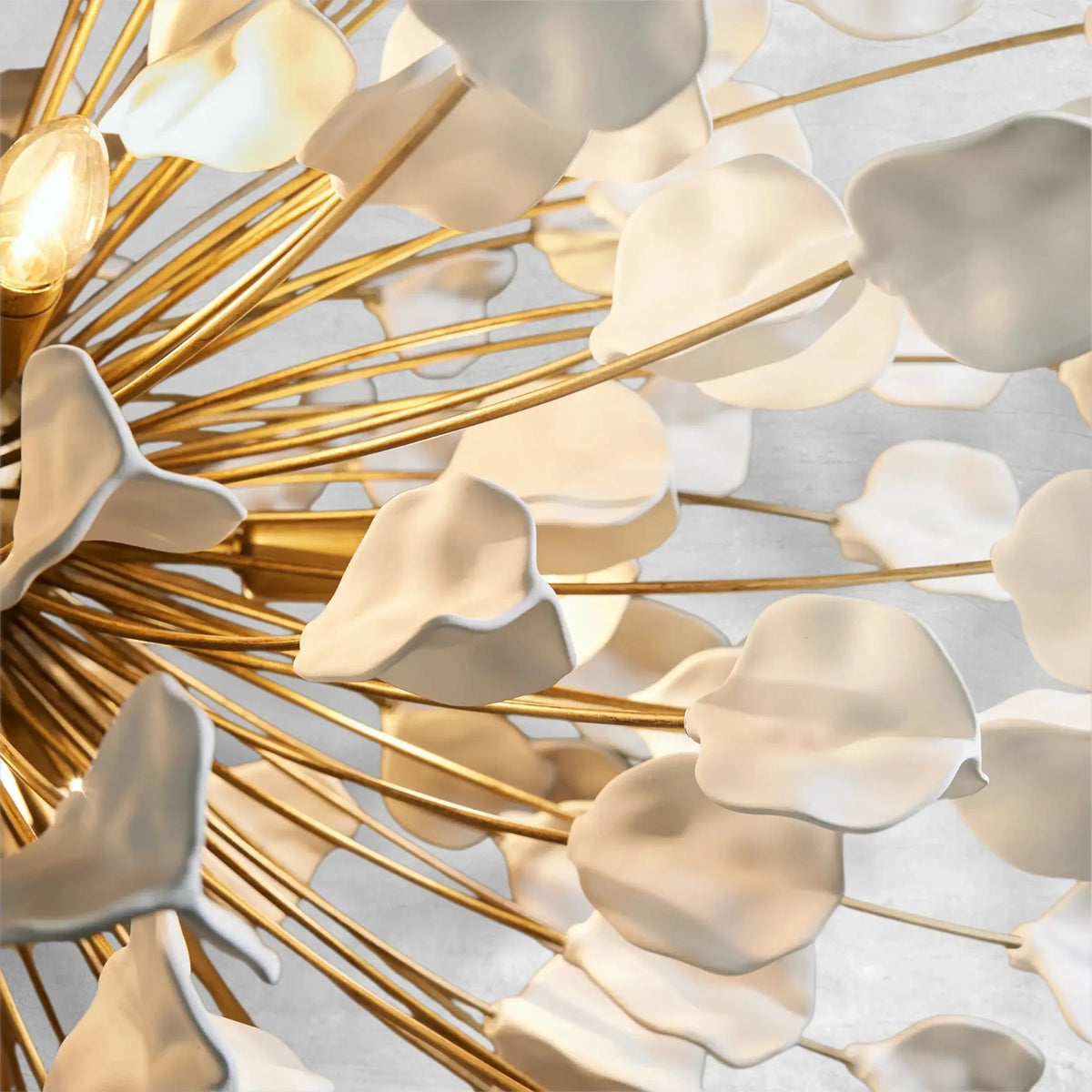 Lunaria Chandelier - view 3