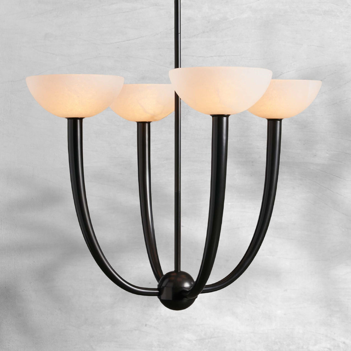 Saguara Chandelier - view 8