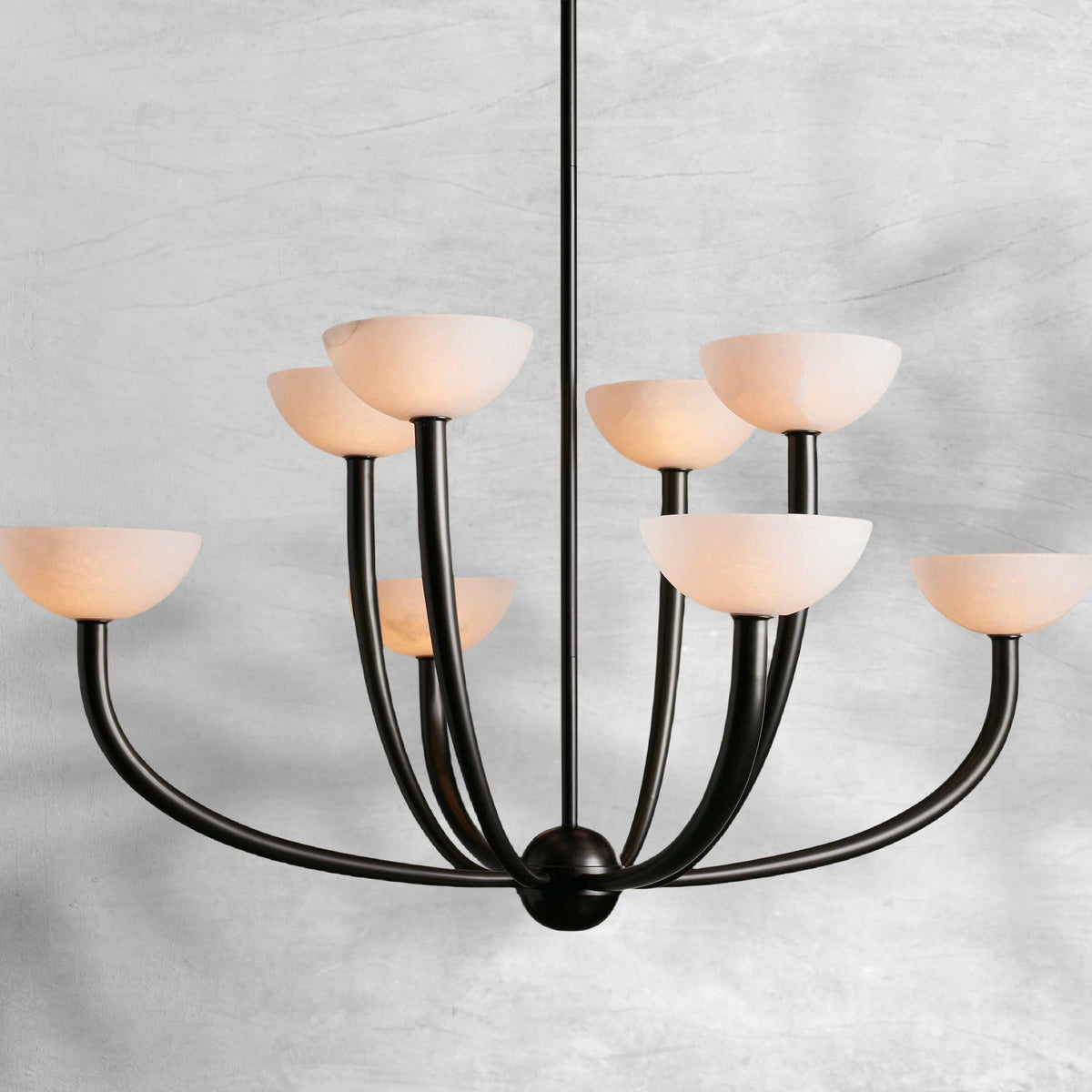 Saguara Chandelier - view 9