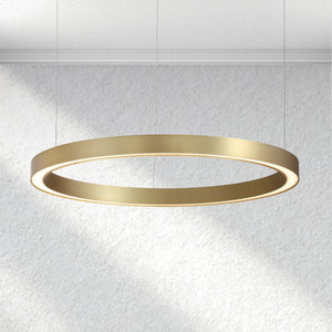 Carey Auraloop Chandelier - view 2
