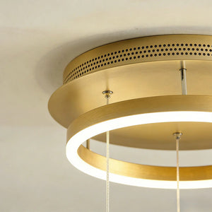 Butterfly Chandelierv Modern Metal Disk Acrylic Ceiling Light - view 17