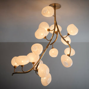 Modern Chandelier with Irregular Glass Lampshades and Brass Branches - view 2