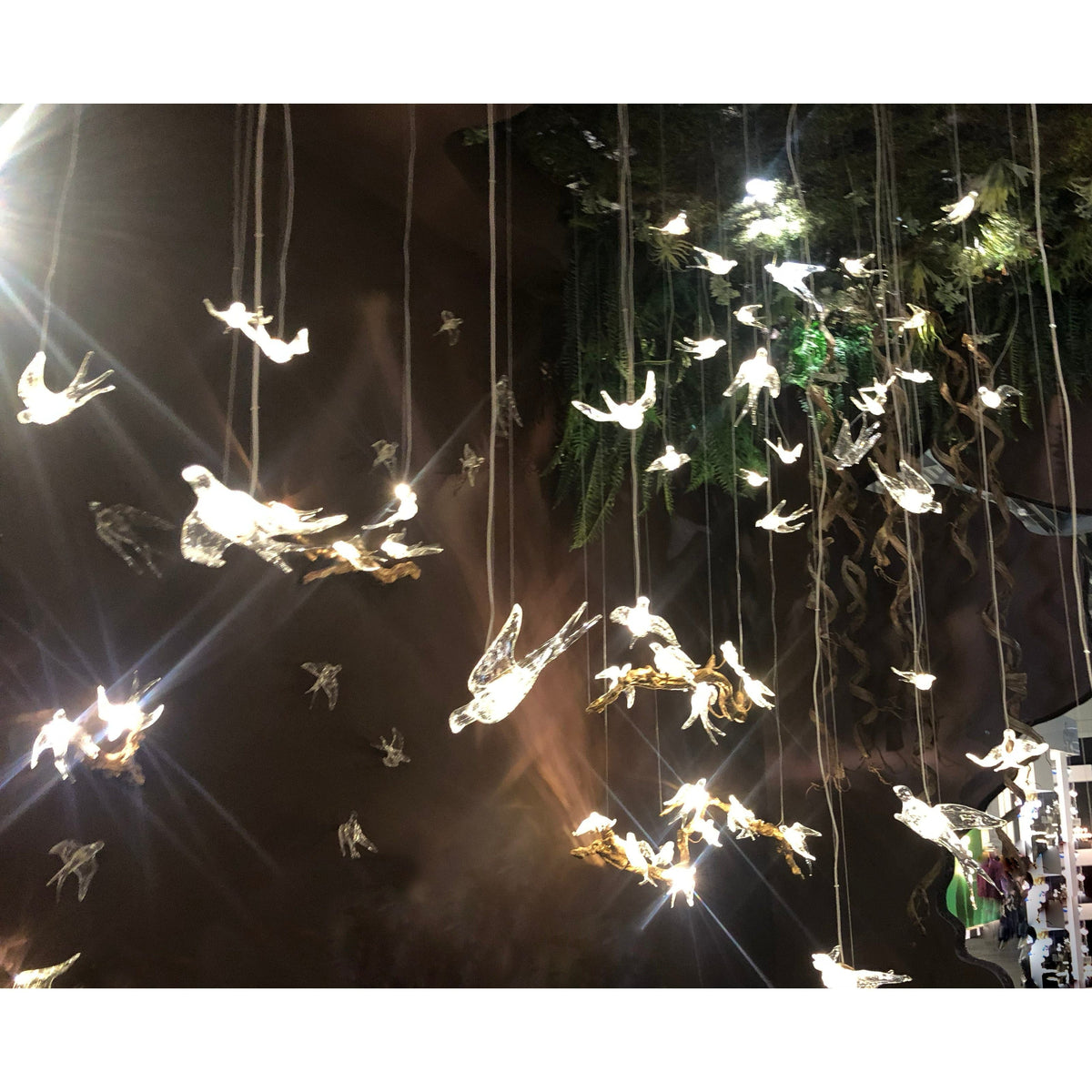 Bird Song Branching Linear Teardrop Chandelier - view 5