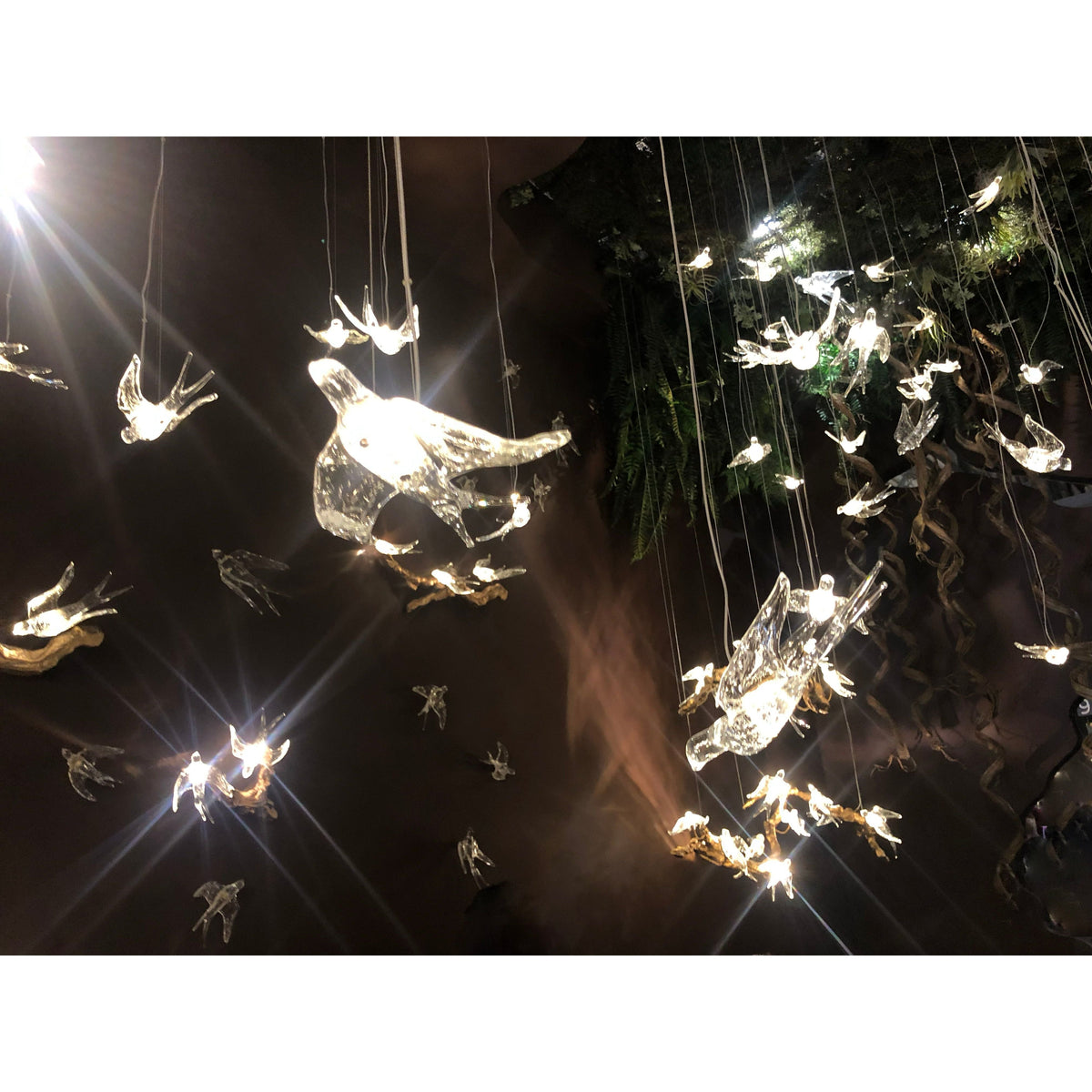 Bird Song Branching Linear Teardrop Chandelier - view 4