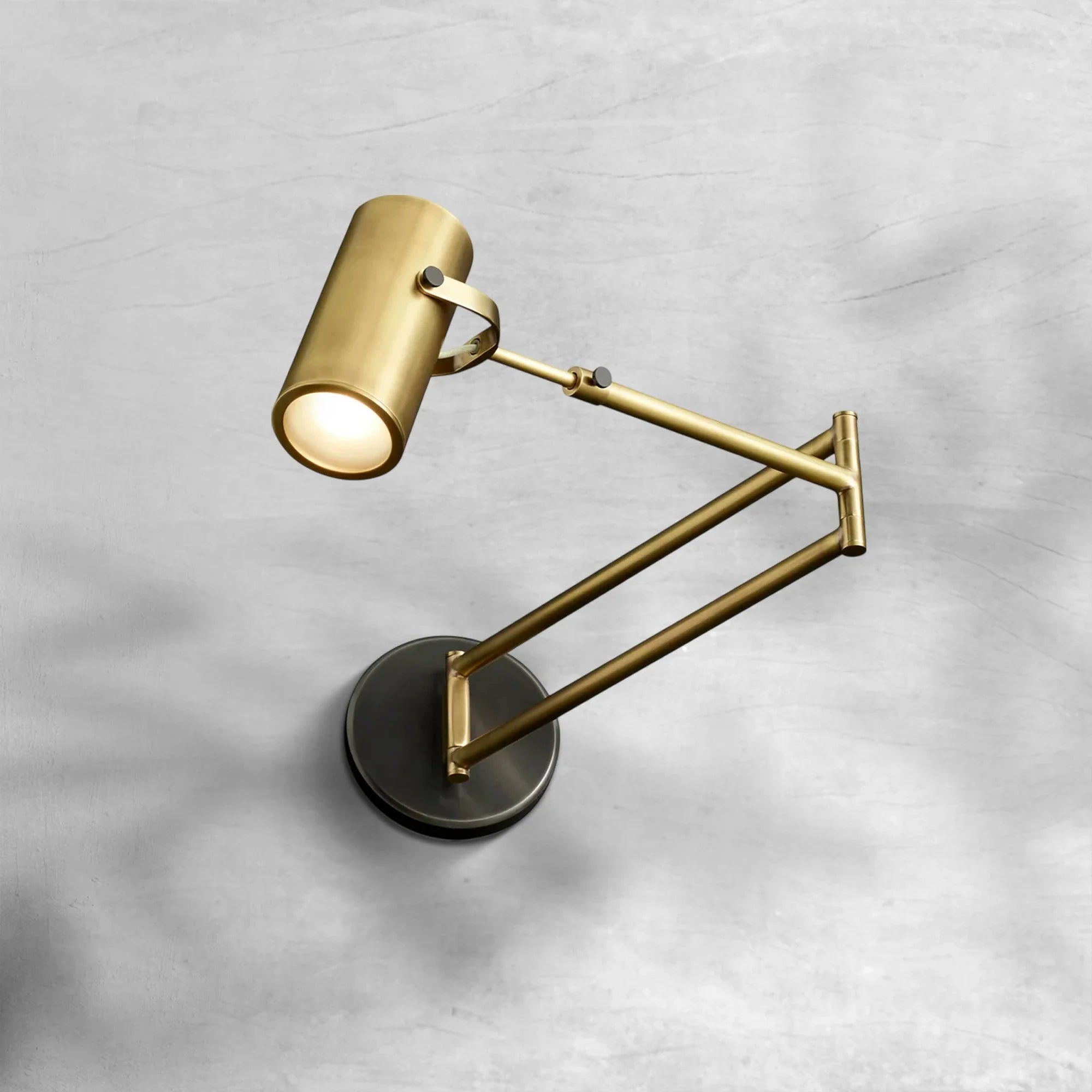 Cenora Swing-Arm Wall Sconce