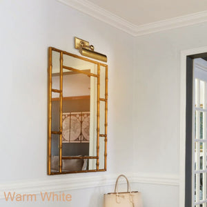 Anite Picture Light - view 20
