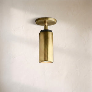 Cenora Pivoting Flushmount, flush mount