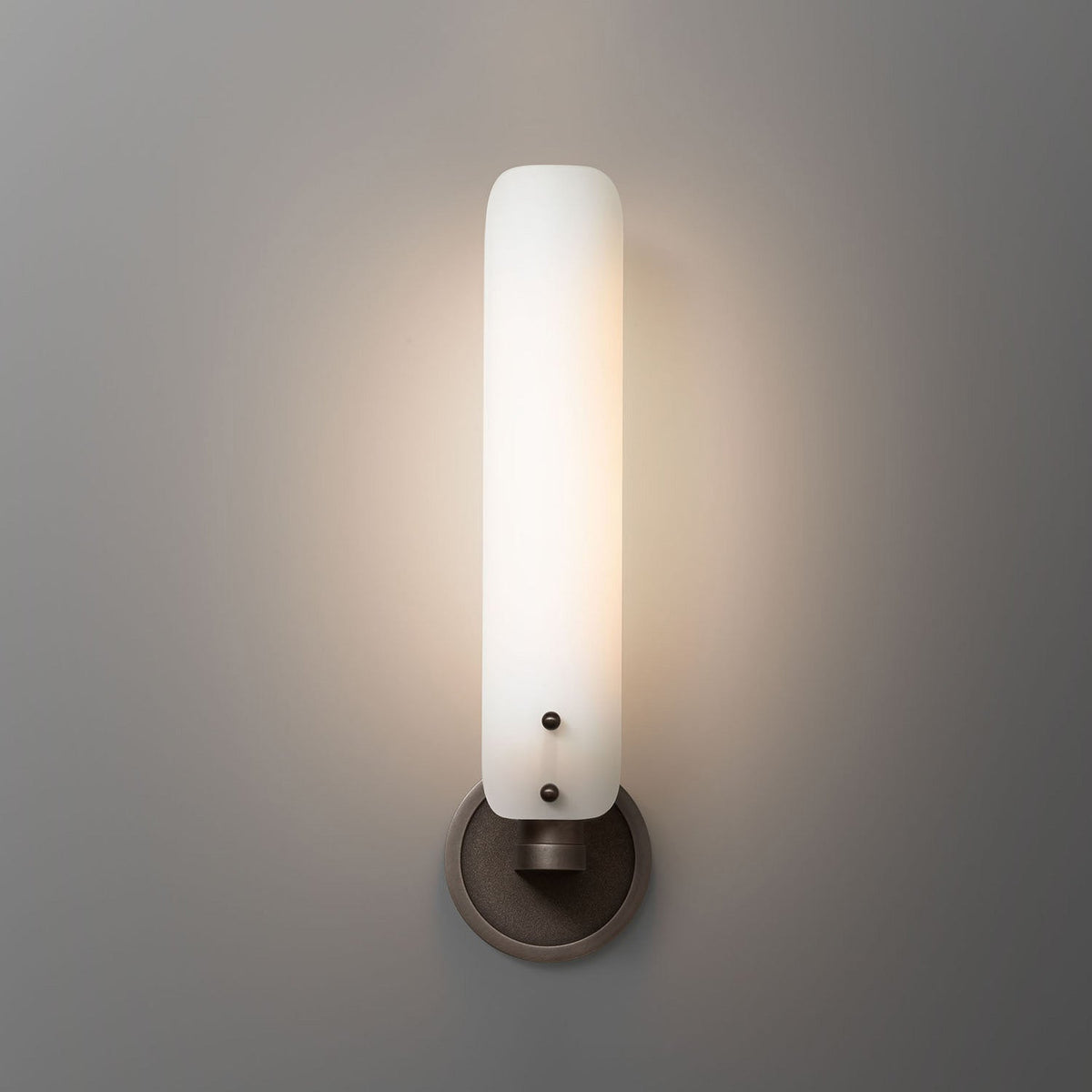 Debora Wall Sconce 16.5" H - view 3