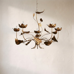 Ninfea Chandelier
