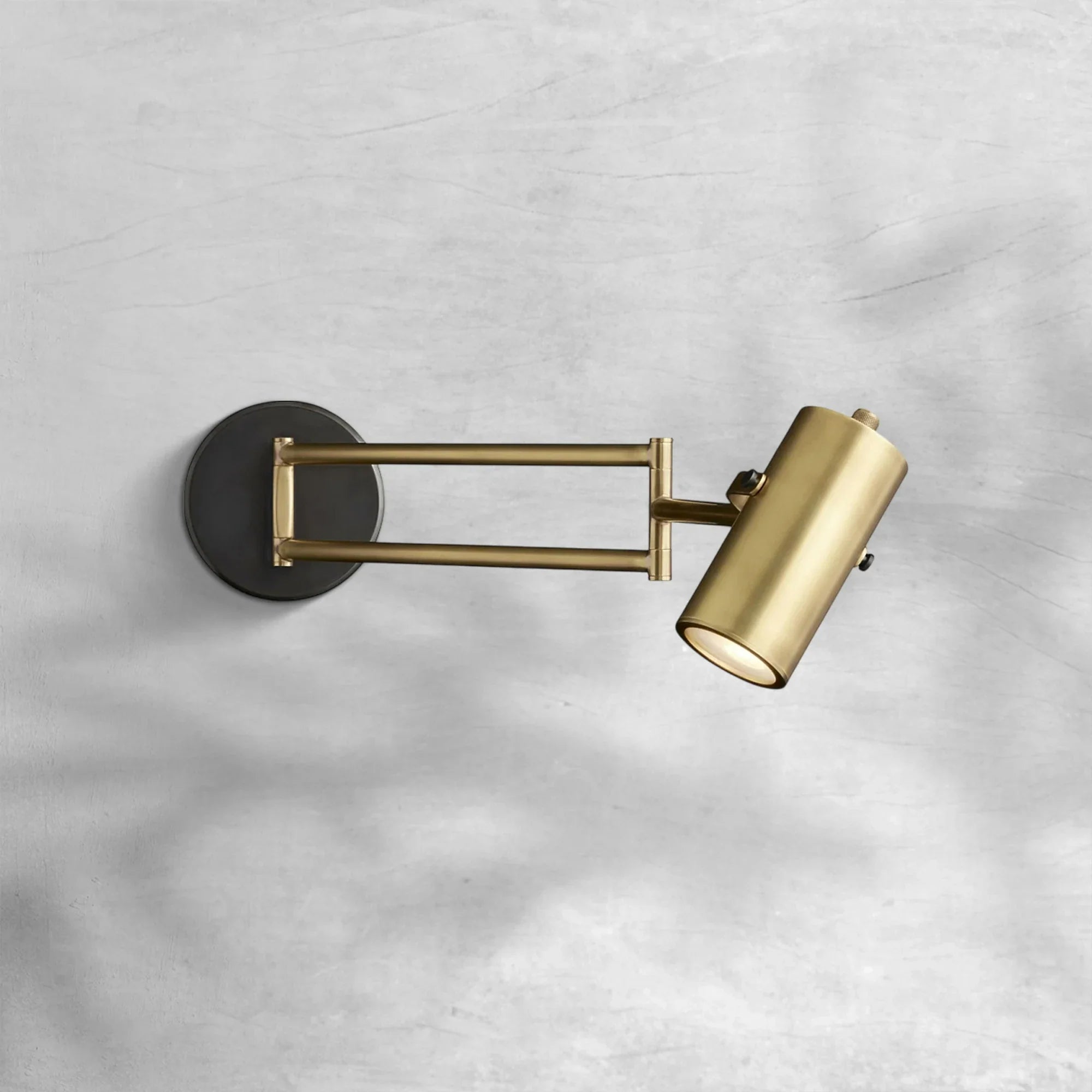 Cenora Swing-Arm Wall Sconce